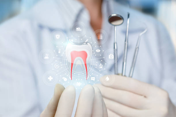 Professional  Holistic Dental Services in Del Mar, CA